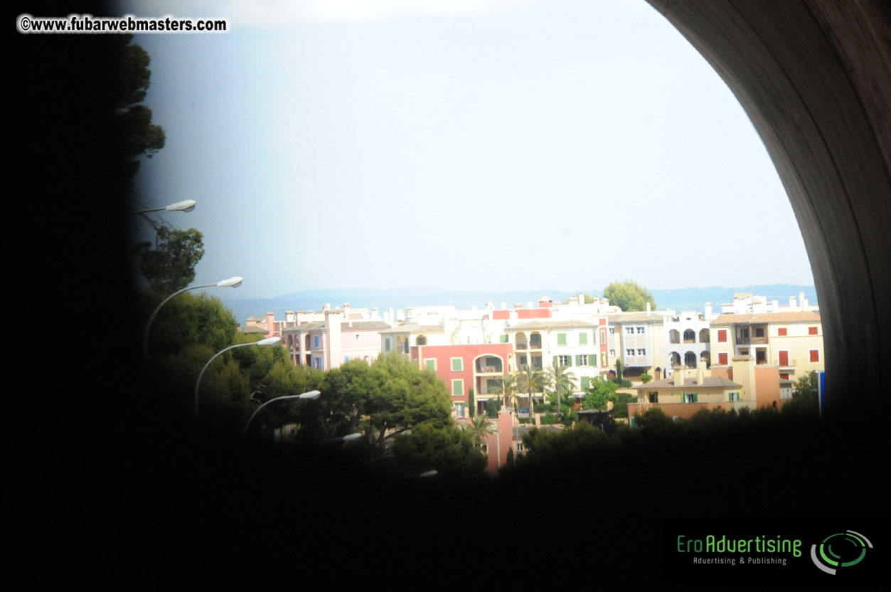 MOMO Afternoon Webmaster Party & BBQ