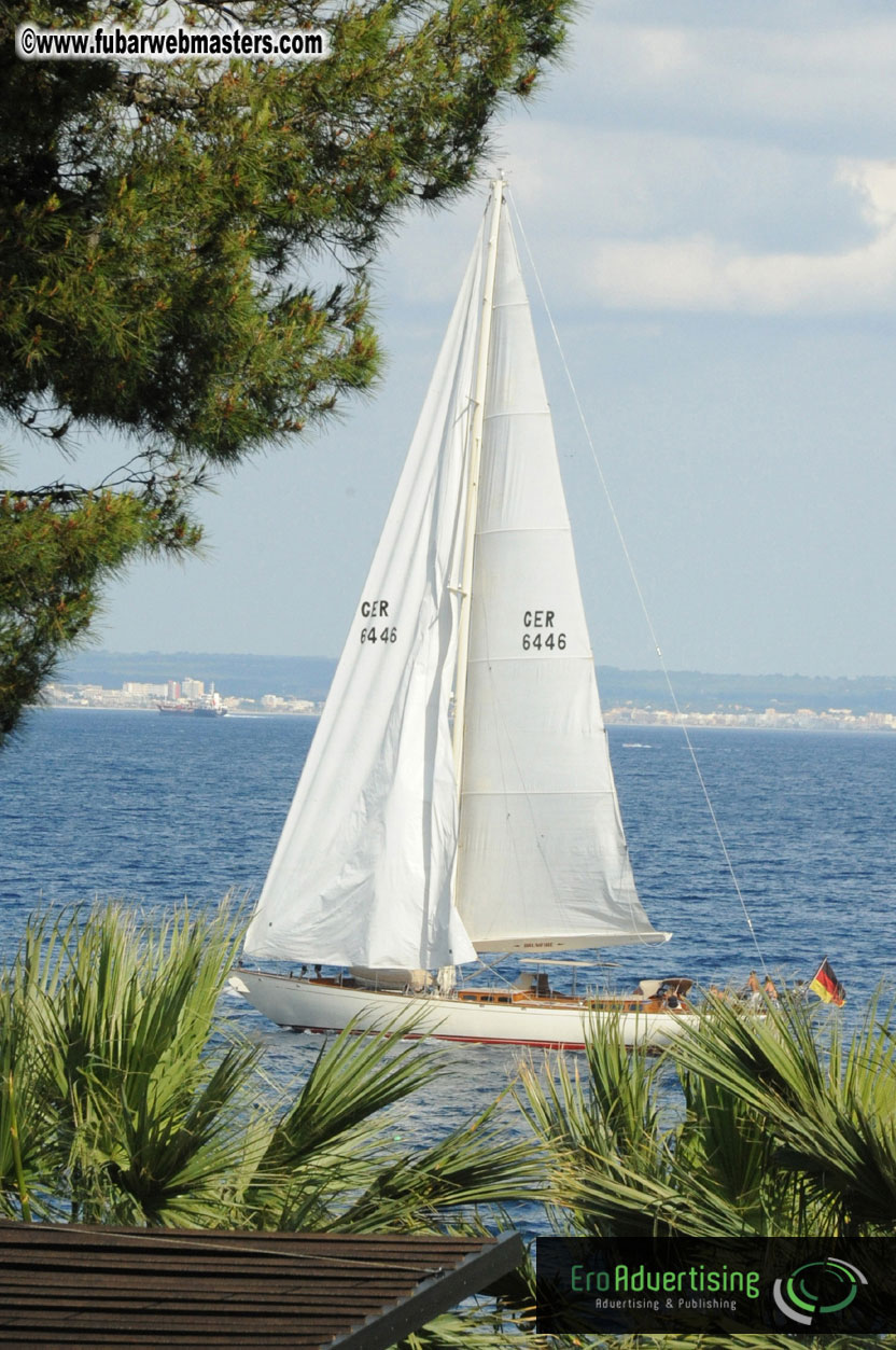 MOMO Afternoon Webmaster Party & BBQ