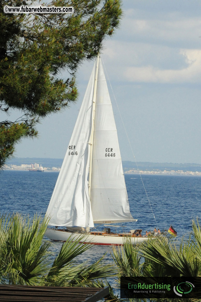 MOMO Afternoon Webmaster Party & BBQ