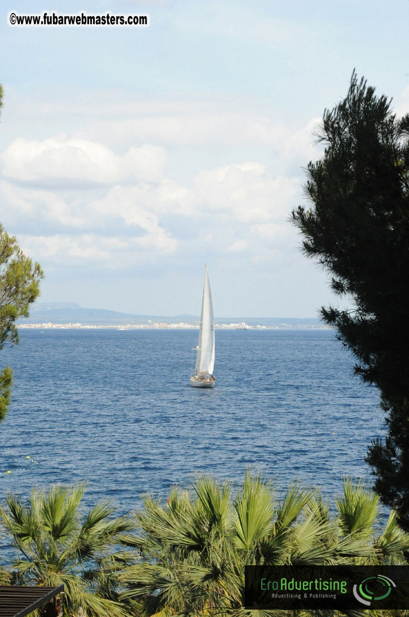 MOMO Afternoon Webmaster Party & BBQ