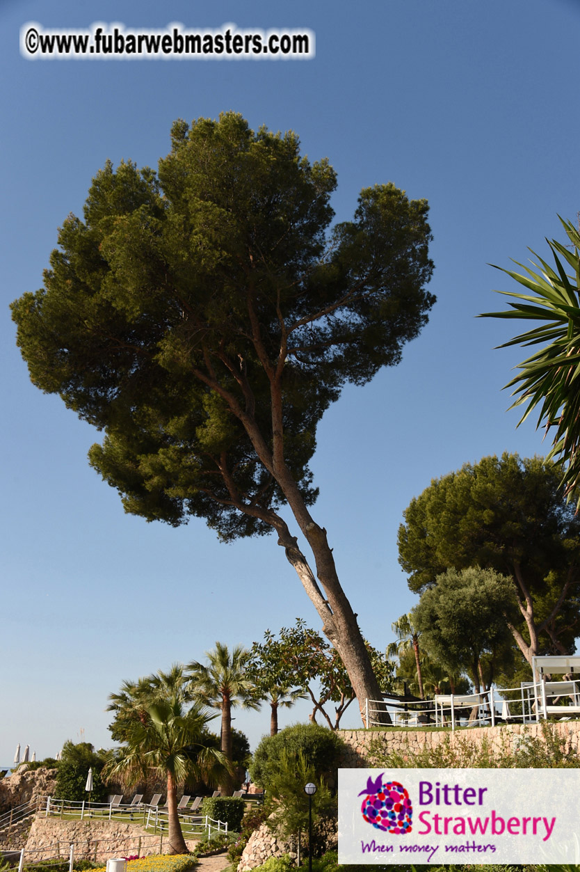 Fishermen @ work early in the morning