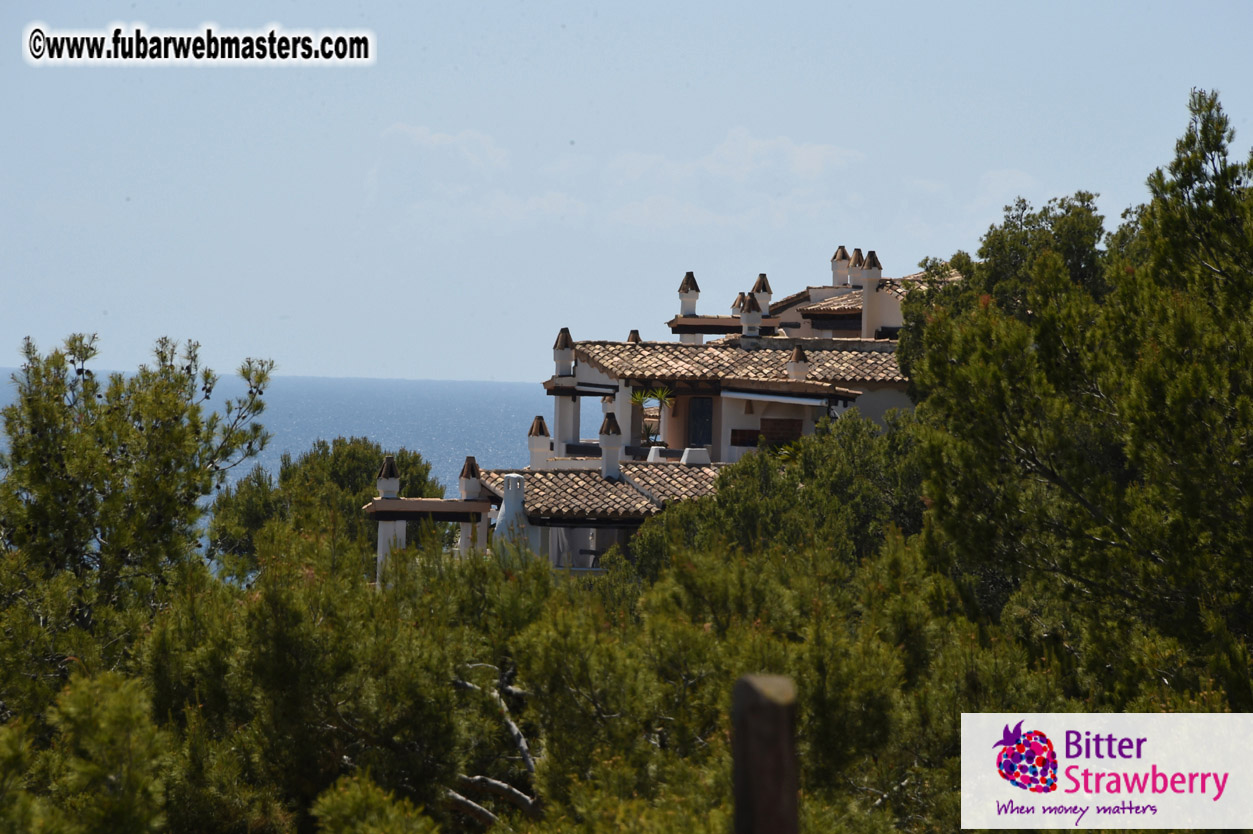 Afternoon Networking Party 