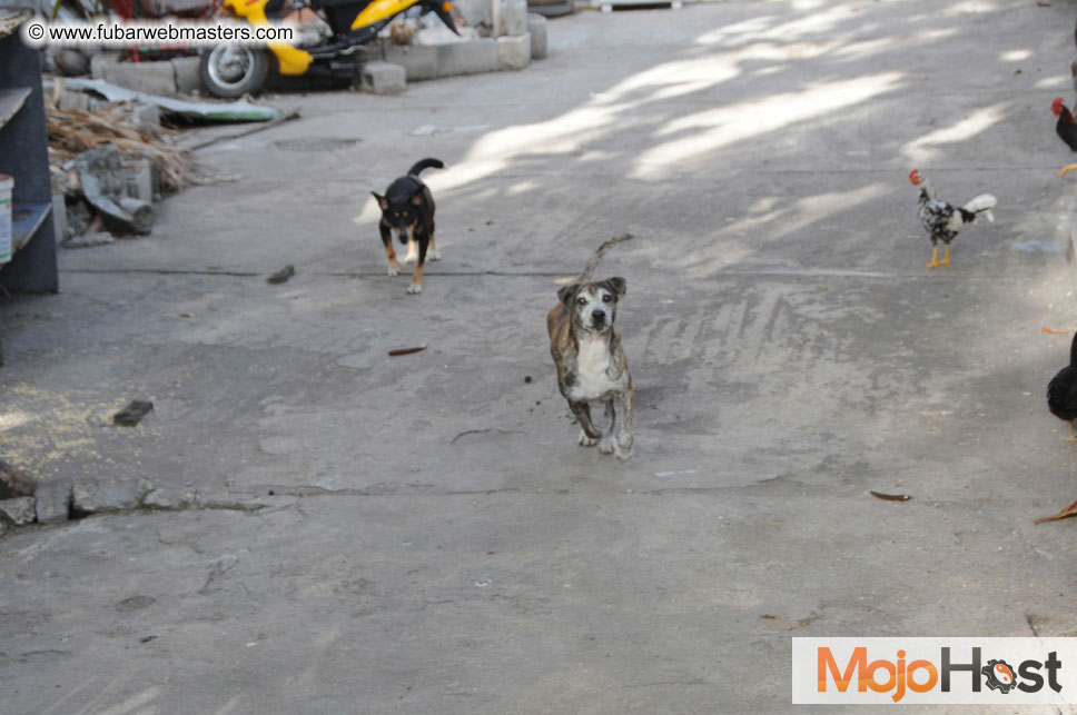 The  Extended Weekend