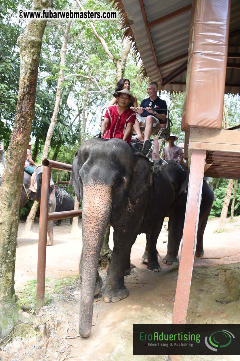 Elephant Safari