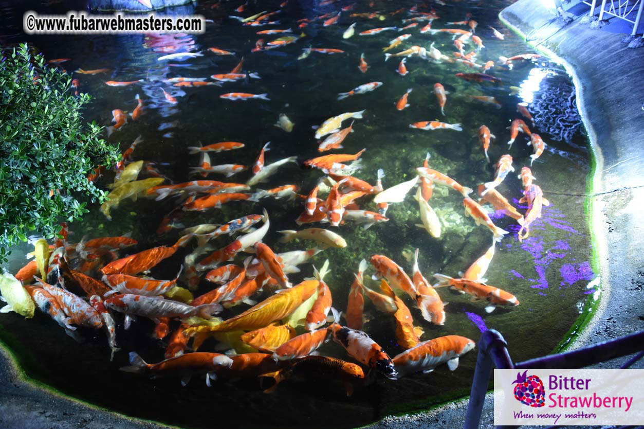 Networking Dinner @ Phuket FantaSea