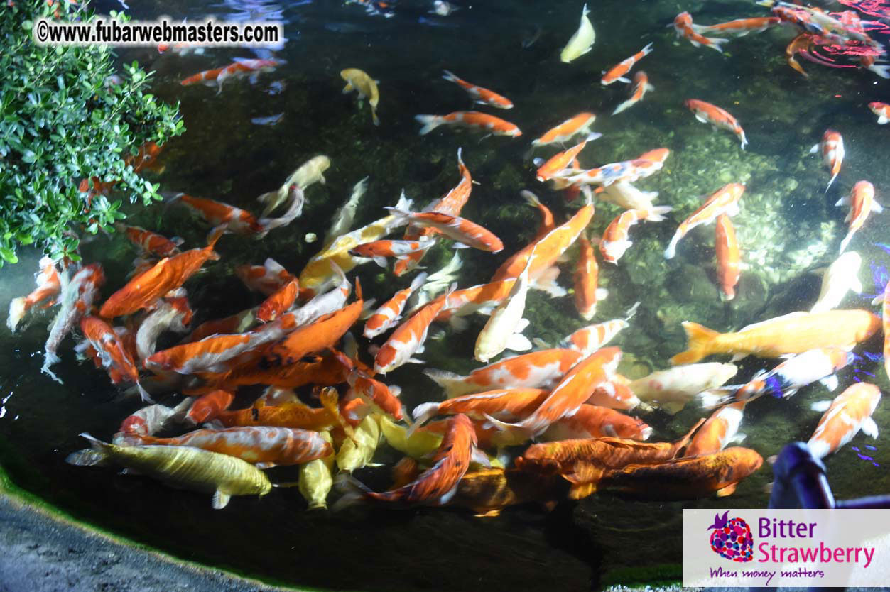 Networking Dinner @ Phuket FantaSea