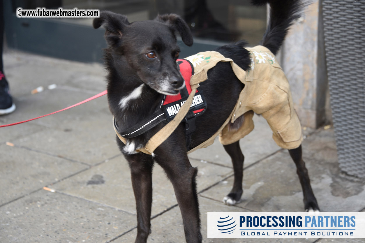 Arrivals, Reception & Registration