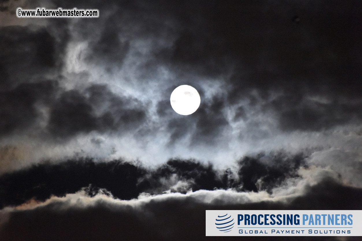 Day 2 beer tent seating - part 2