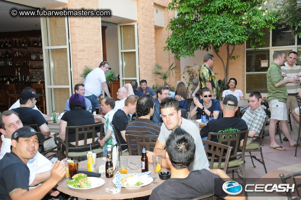 The Tempe Mission Palms