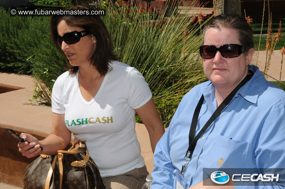 The Tempe Mission Palms