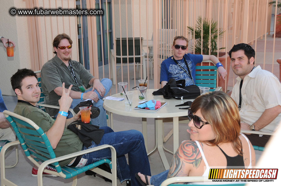 The Tempe Mission Palms