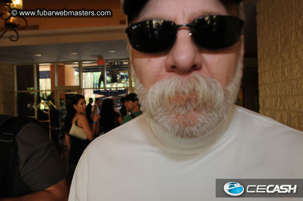 The Tempe Mission Palms