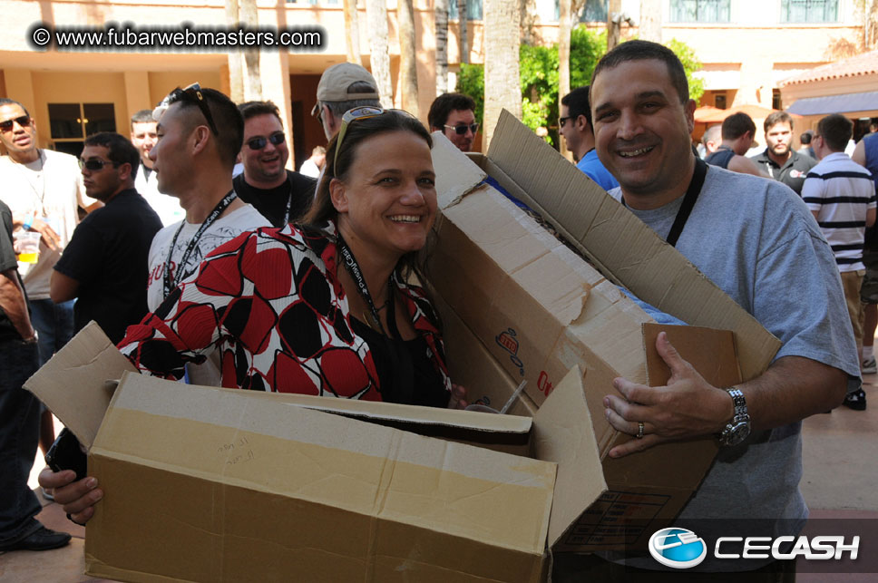 The Tempe Mission Palms