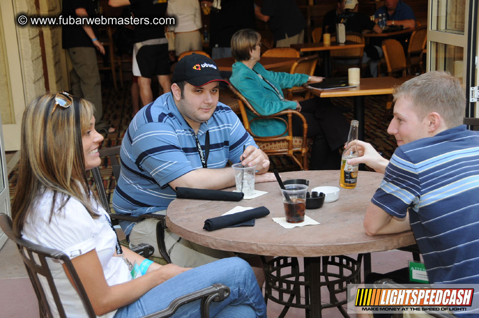 The Tempe Mission Palms