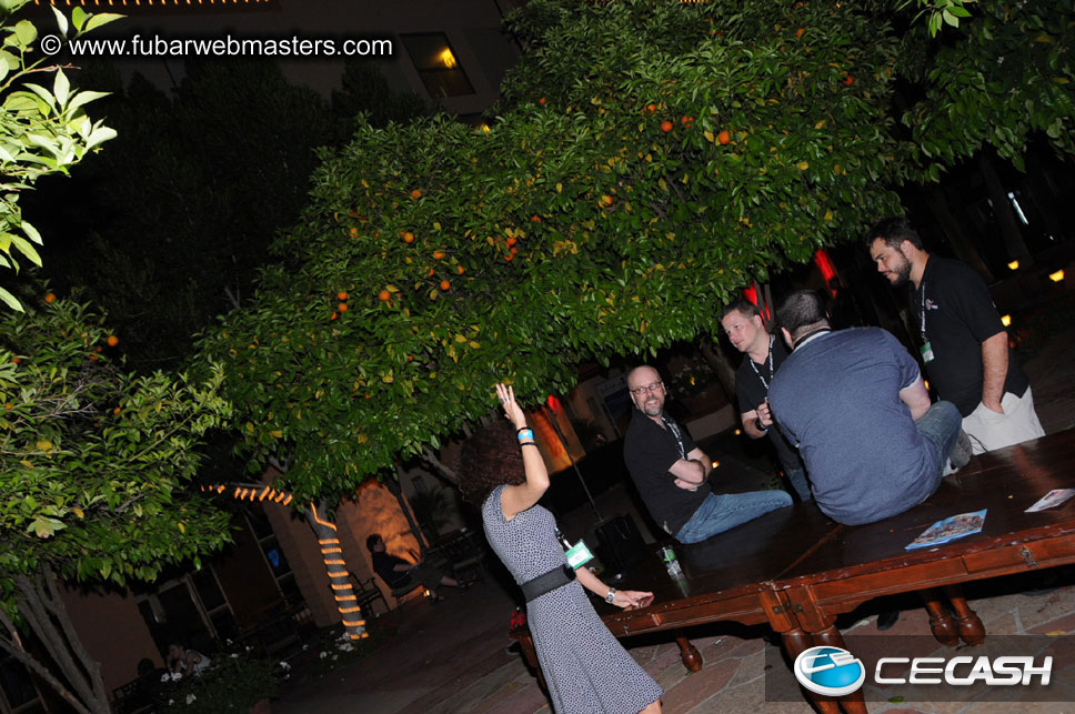 The Tempe Mission Palms