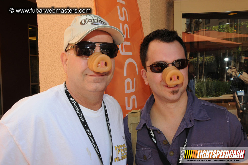 The Tempe Mission Palms