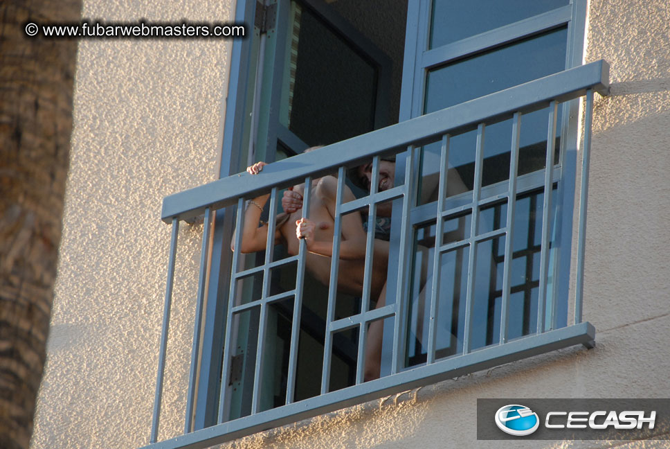 The Tempe Mission Palms