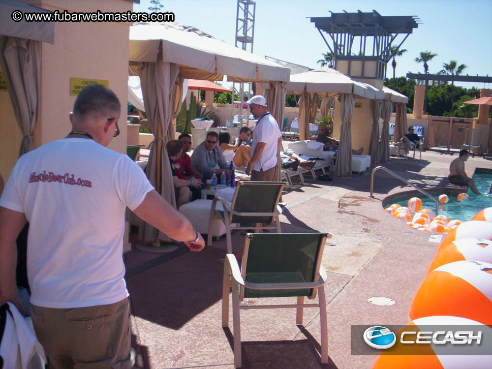 The Tempe Mission Palms