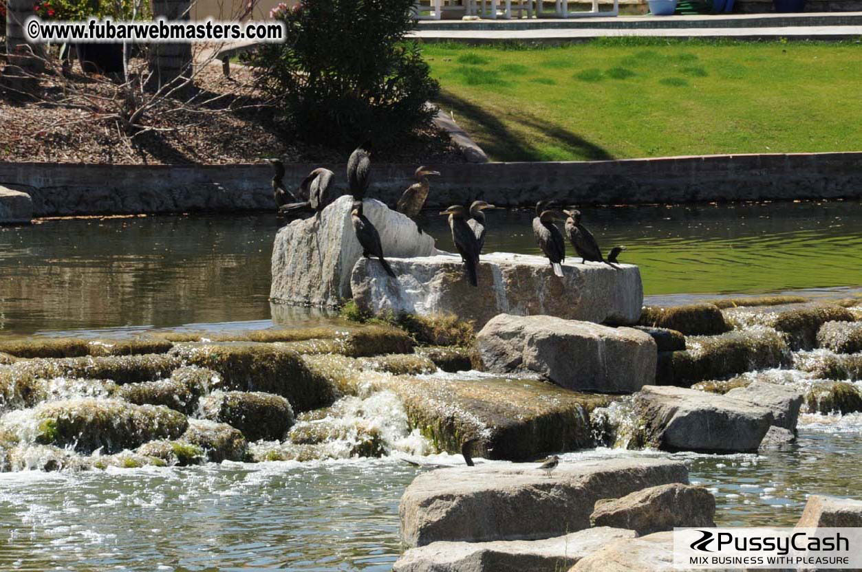 7th Annual TPF Golf Tournament