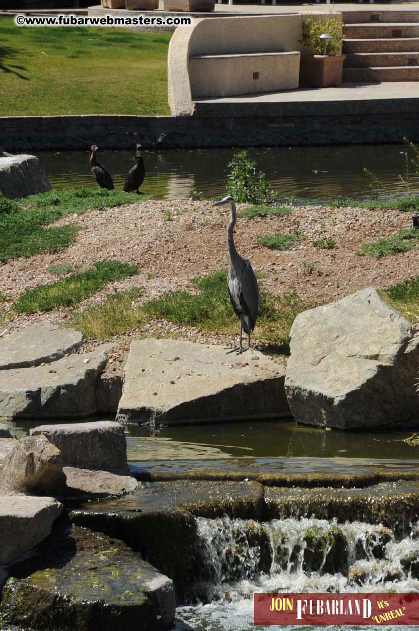 7th Annual TPF Golf Tournament