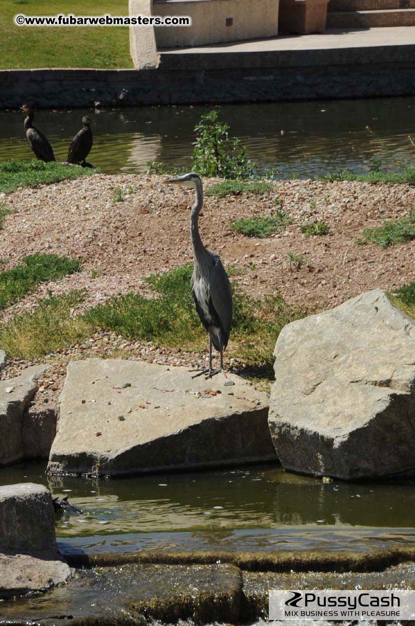 7th Annual TPF Golf Tournament