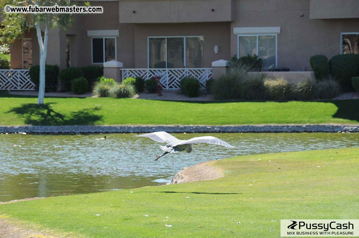 7th Annual TPF Golf Tournament