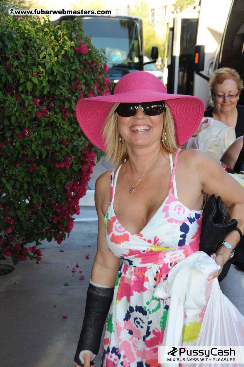 The Tempe Mission Palms