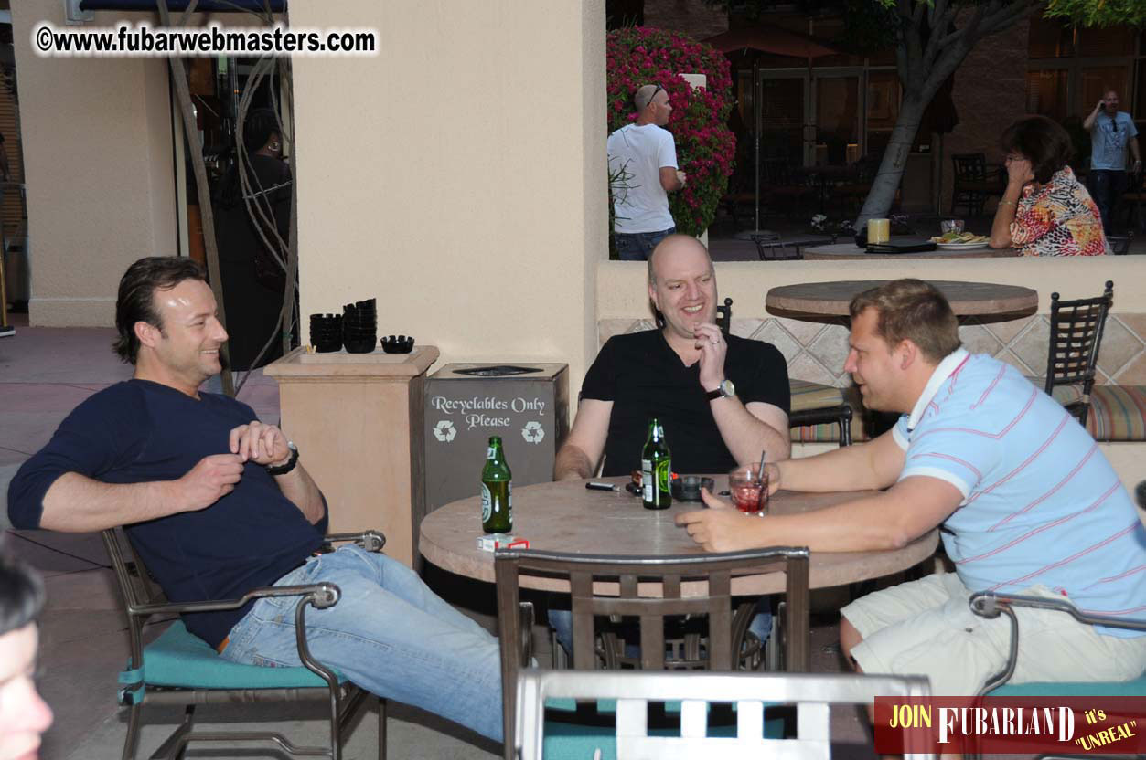 The Tempe Mission Palms