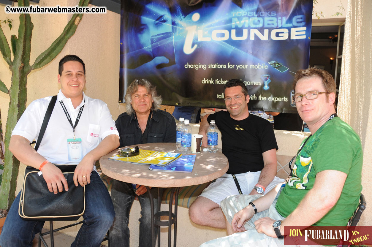 The Tempe Mission Palms