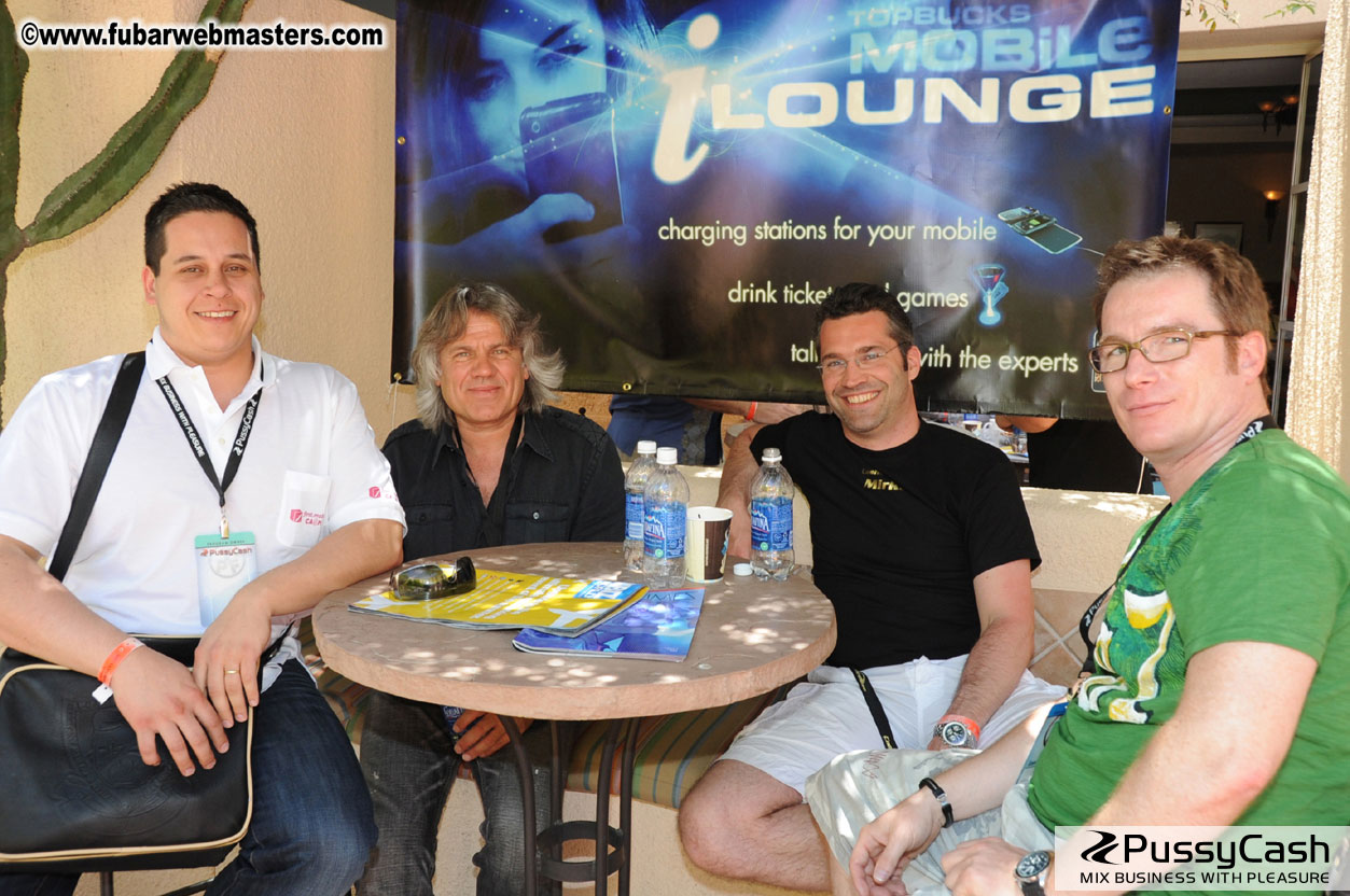 The Tempe Mission Palms