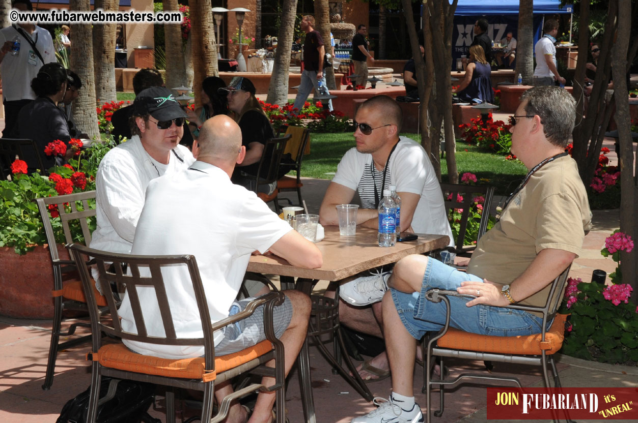 The Tempe Mission Palms