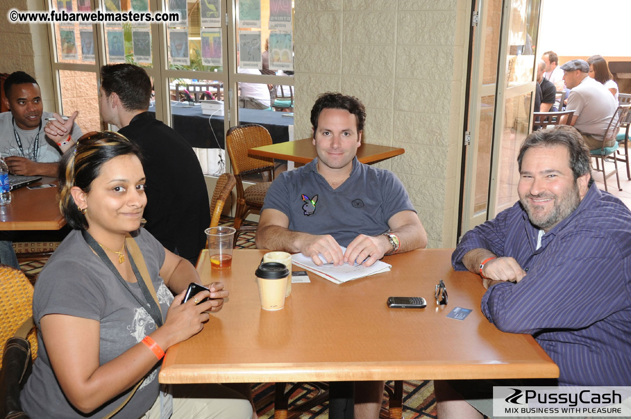 The Tempe Mission Palms