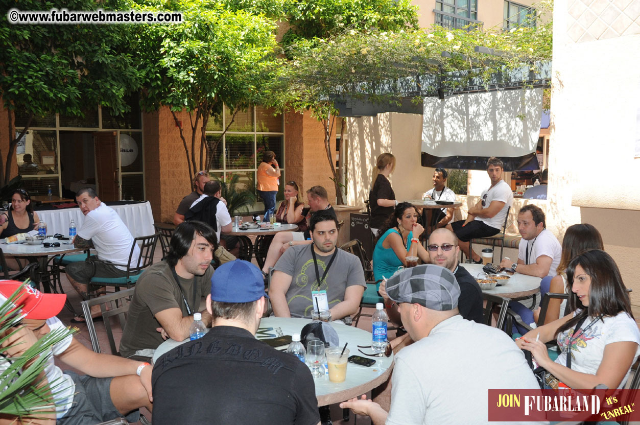 The Tempe Mission Palms