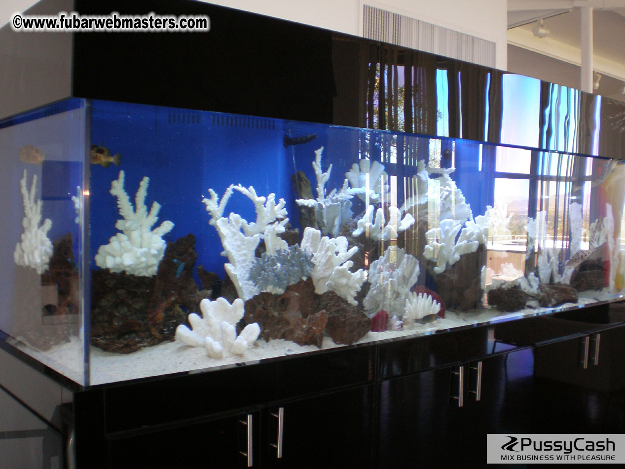 The F.U.B.A.R.  Ladies Spa Day