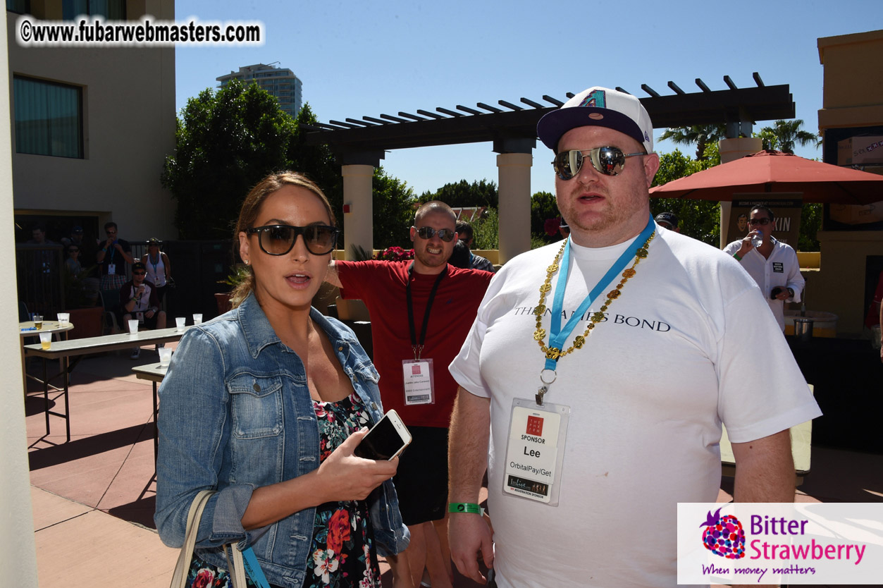 Beer Pong by the Poolside