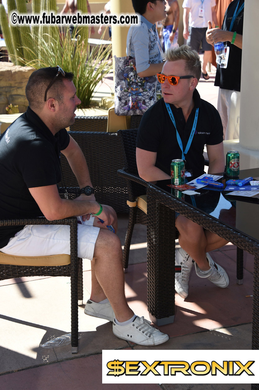 Beer Pong by the Poolside