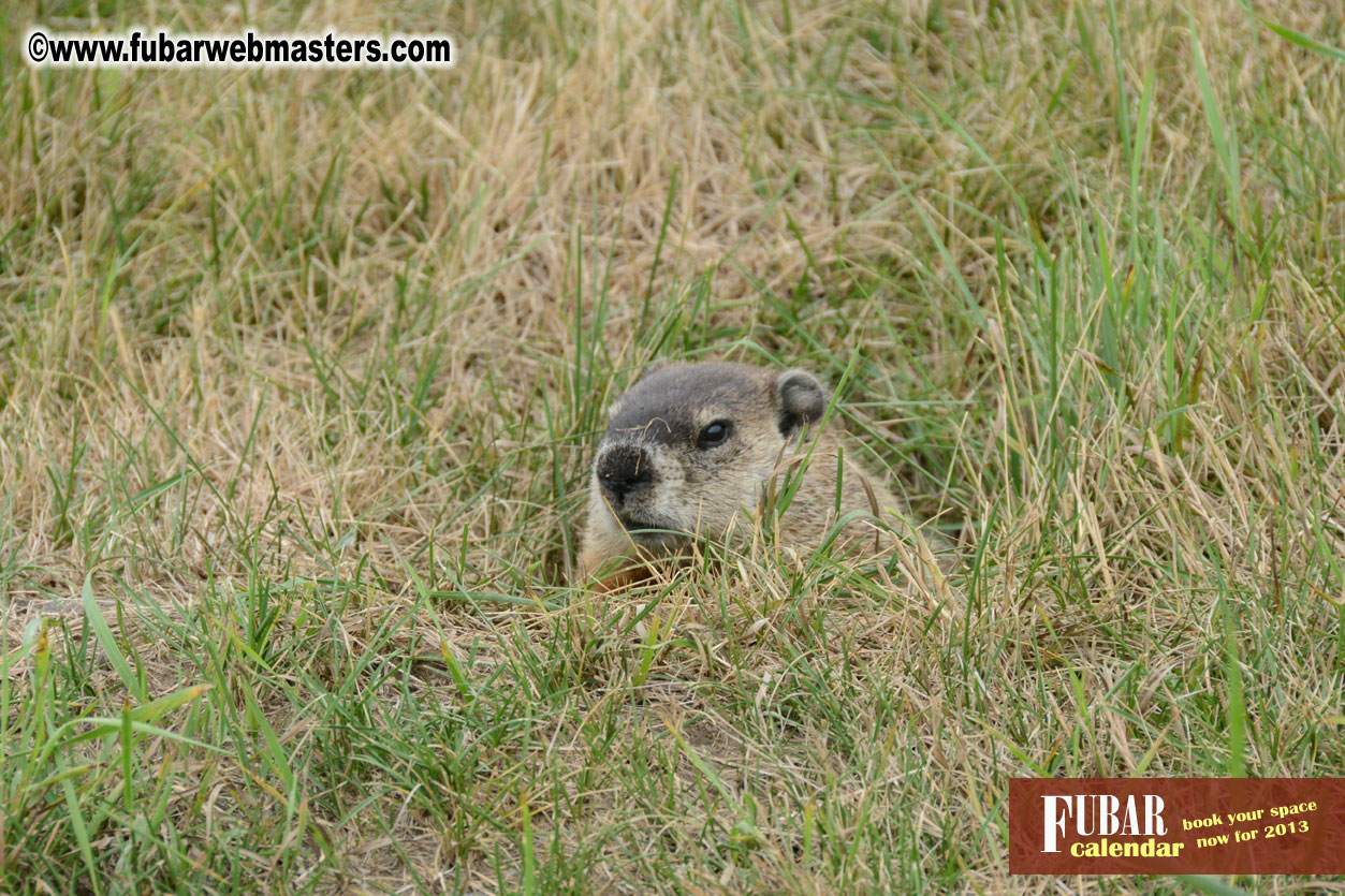 4th ANNUAL QWEBEC OPEN Golf Tournament