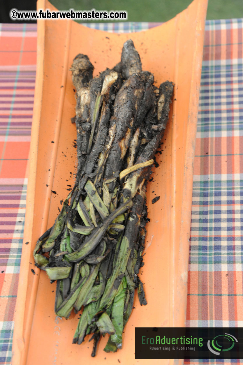 CoolMobile Lunch & Lounge