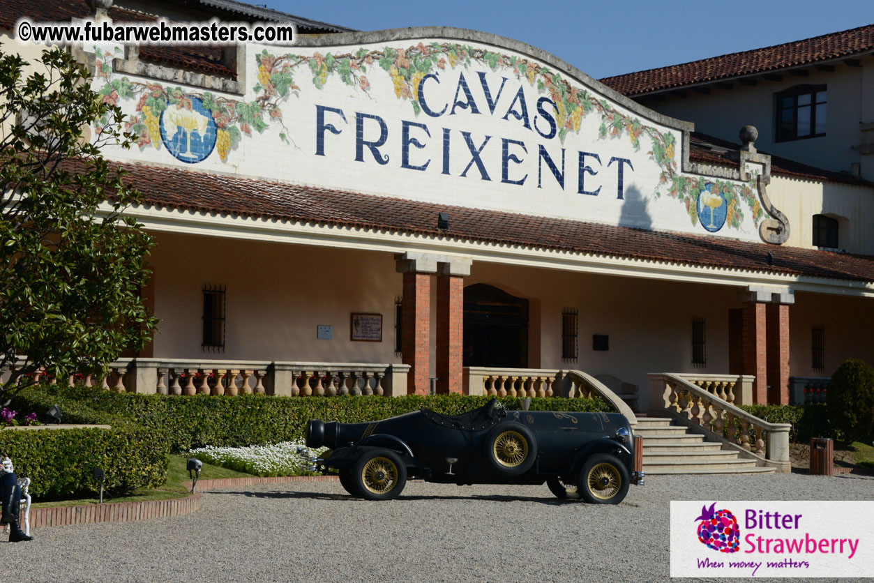 Freixenet Winery private ?á la carte visit