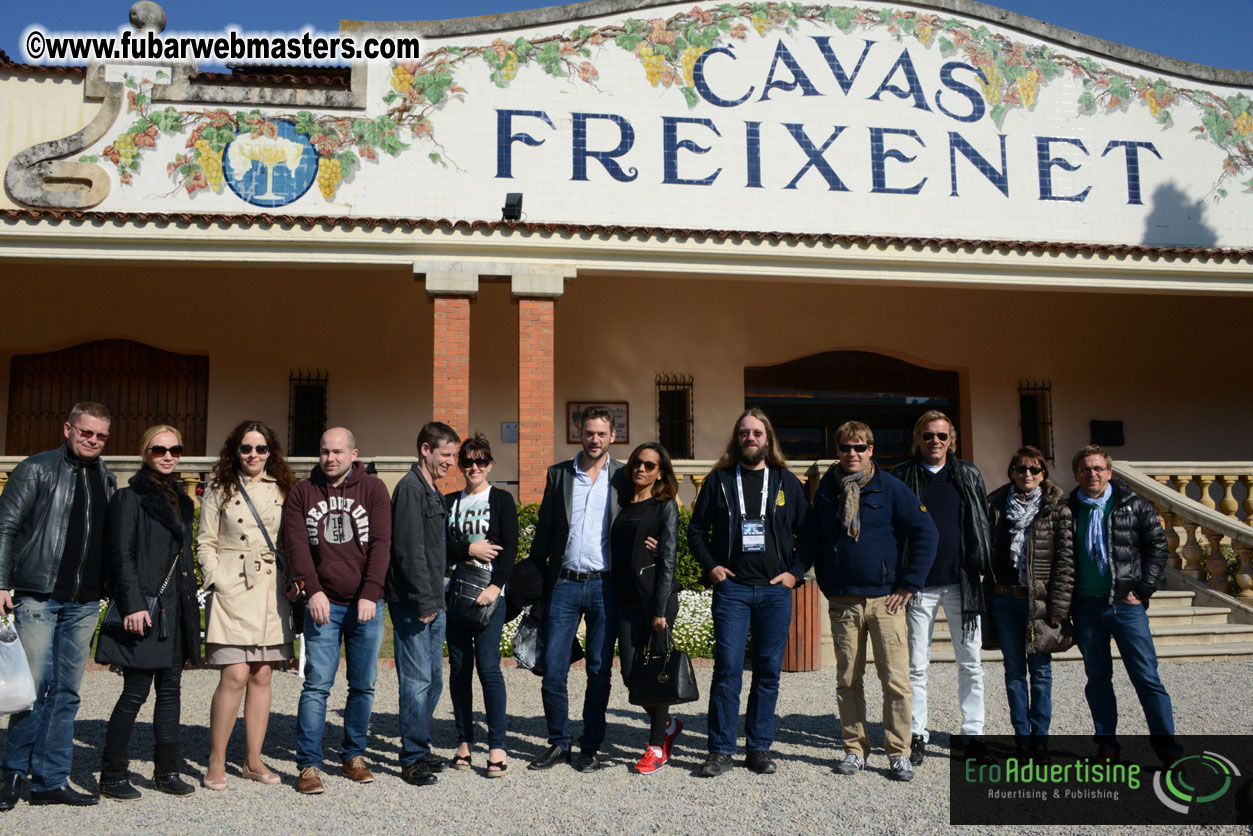 Freixenet Winery private ?á la carte visit