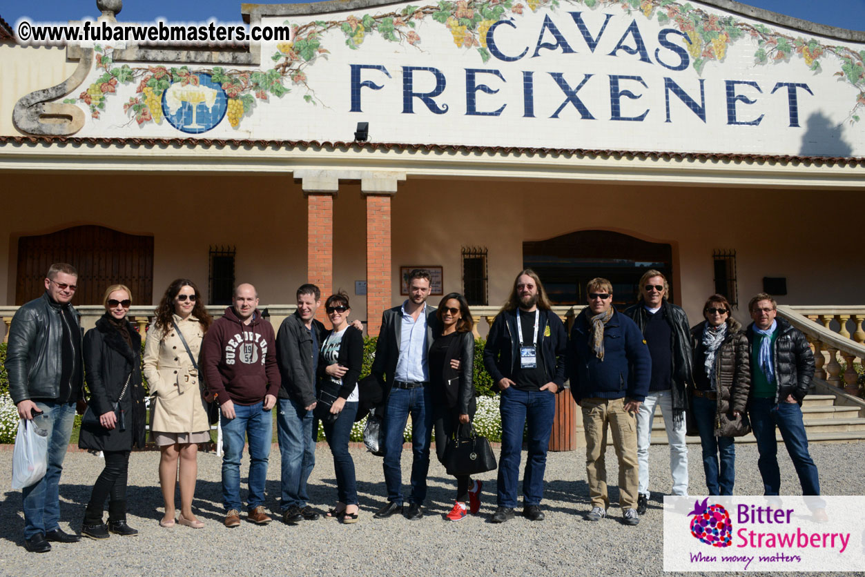 Freixenet Winery private ?á la carte visit