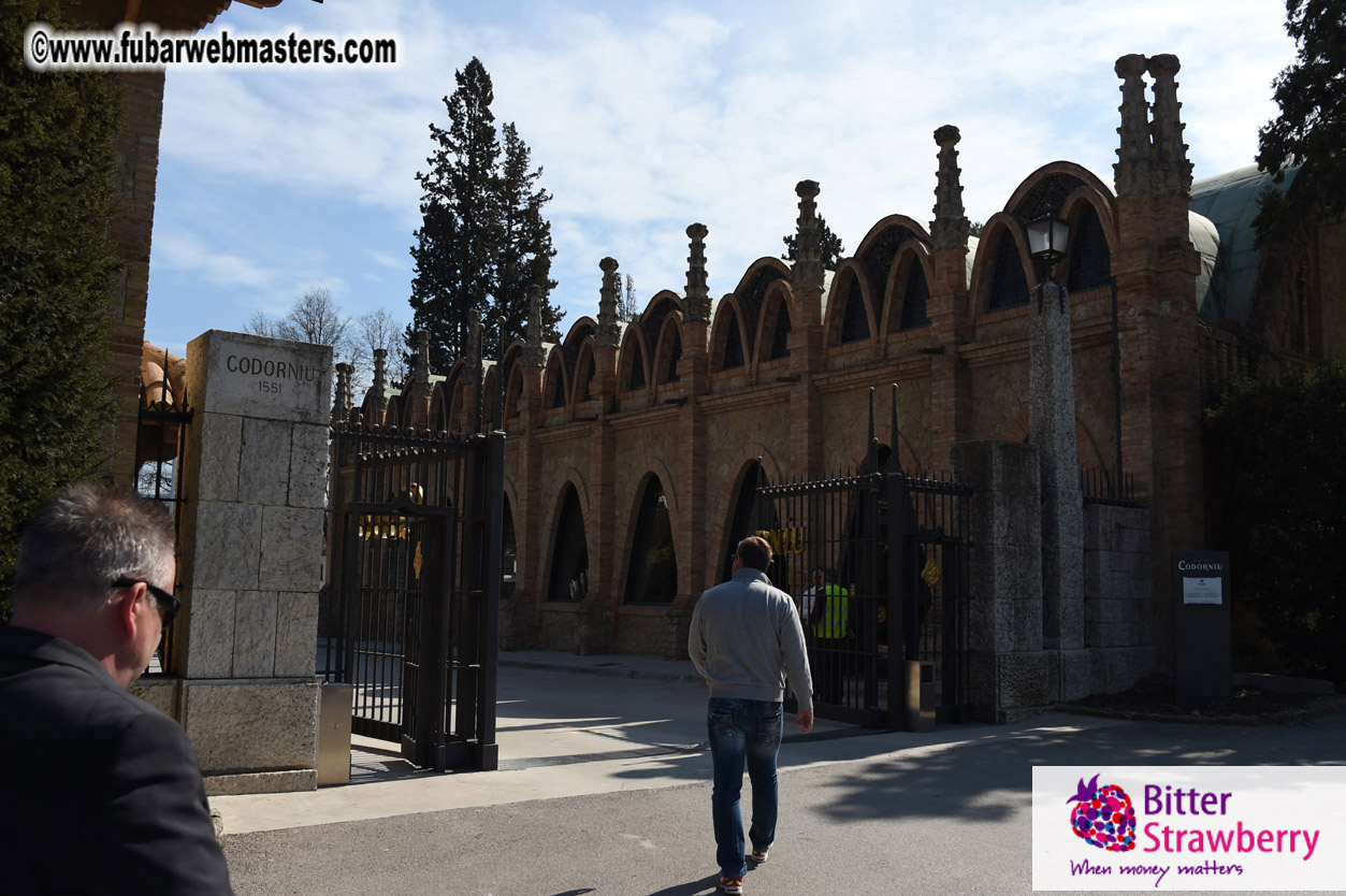 Cavas Codorniu private a la carte visit