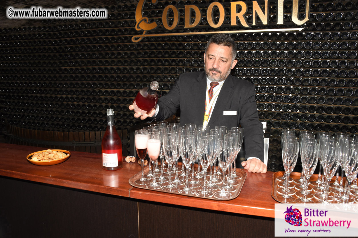 Cavas Codorniu private a la carte visit