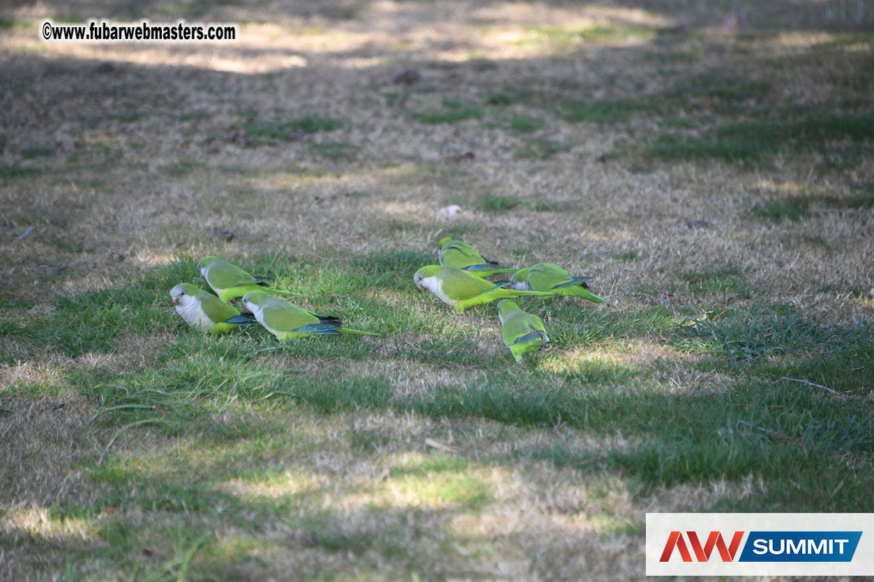 TravelPerk Golf Tournament