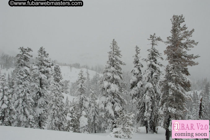 Sleazydream Snowmobiling Event