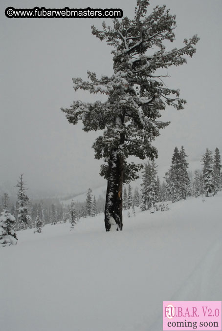 Sleazydream Snowmobiling Event