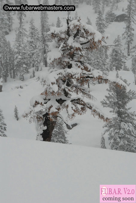 Sleazydream Snowmobiling Event