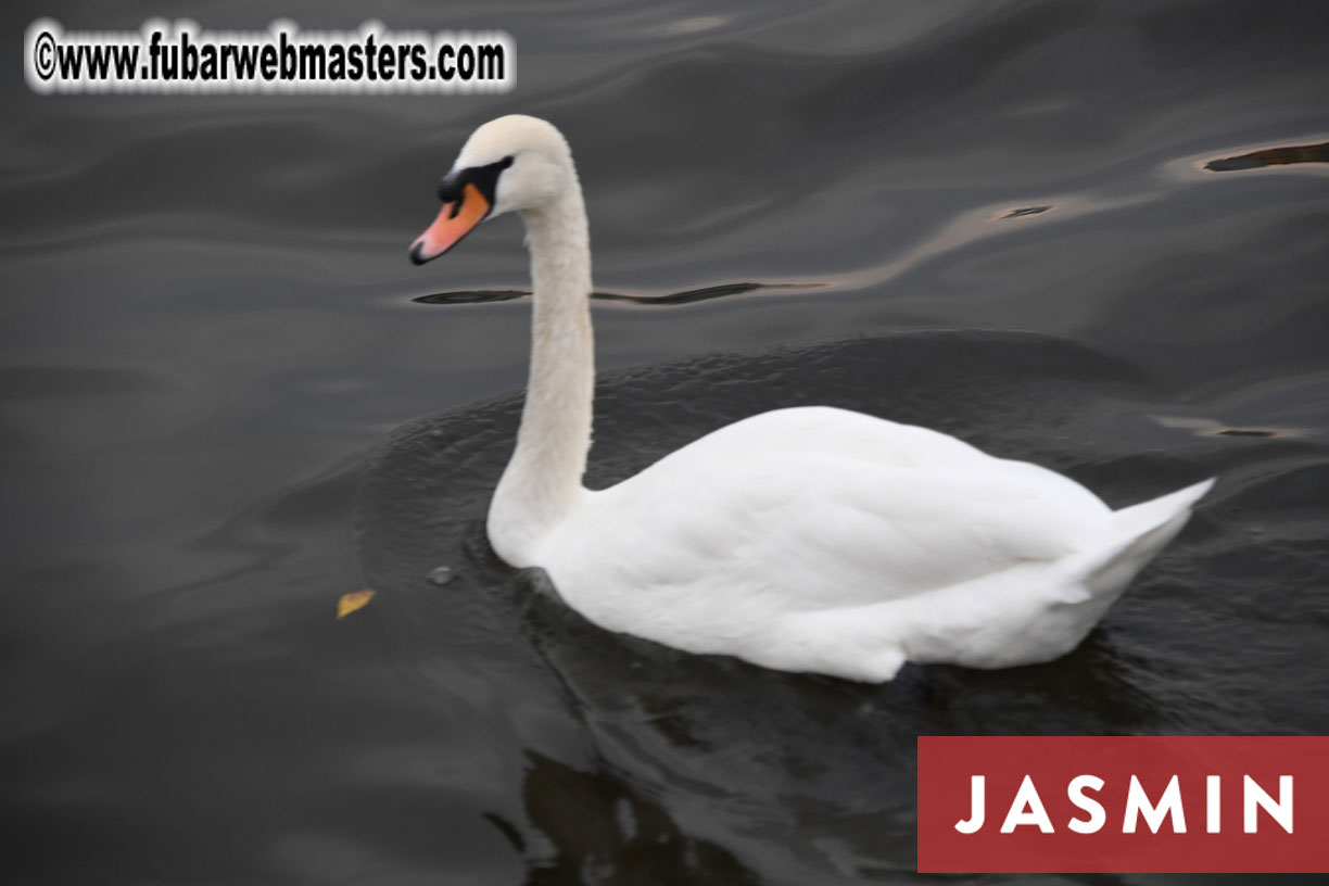 SMS Cams/Flirt4Free River Cruise