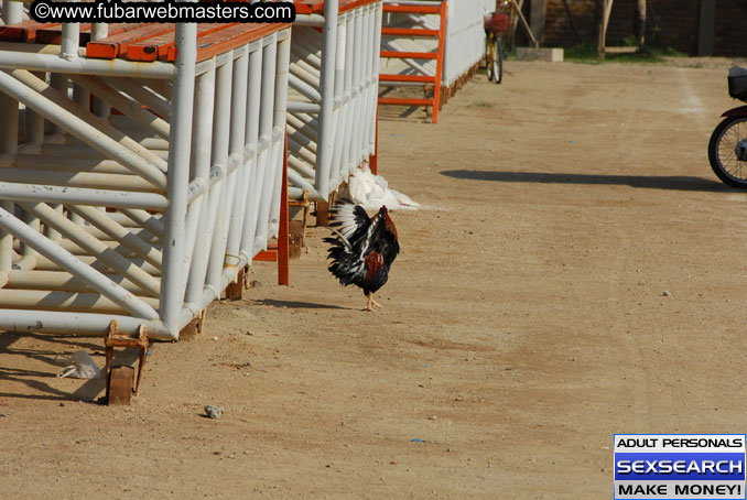 Saturday, January 27th