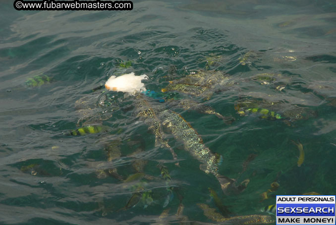 Speedboat Island Hopping